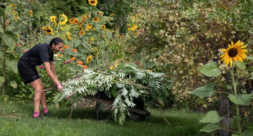 a person loads a wheel barrow with weeds during a service project with outward bound
